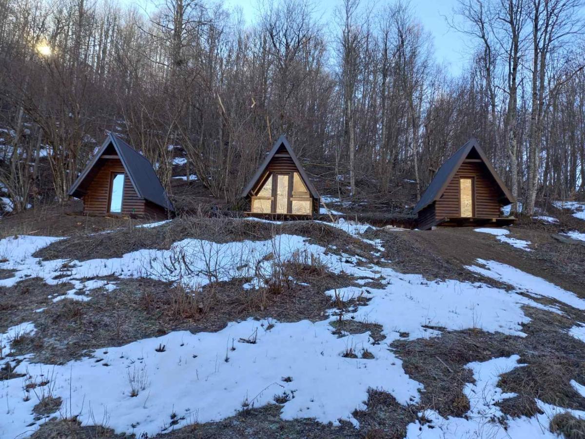 Holiday Bungalows Pajkovir Kolaşin Dış mekan fotoğraf