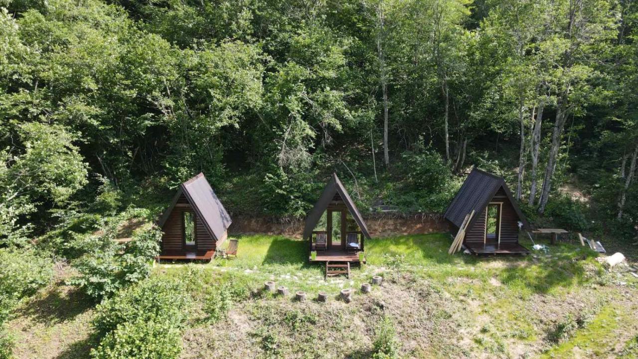 Holiday Bungalows Pajkovir Kolaşin Dış mekan fotoğraf