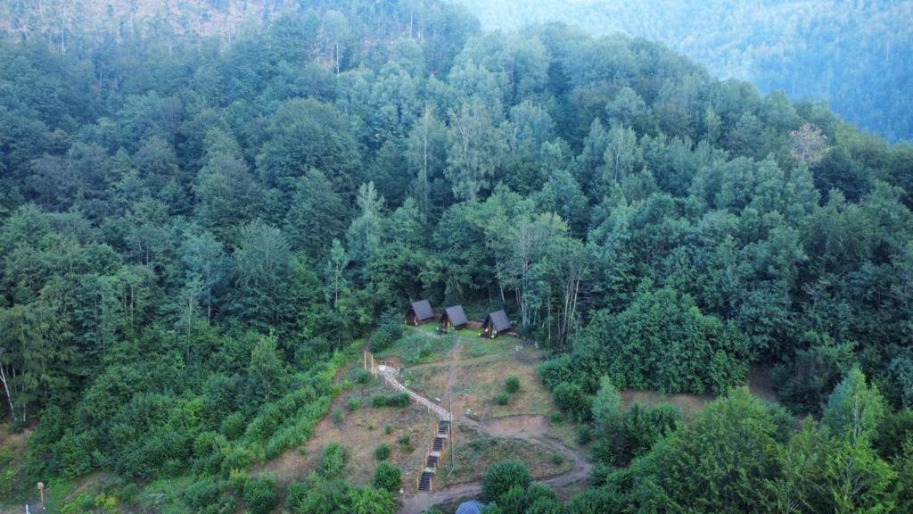Holiday Bungalows Pajkovir Kolaşin Dış mekan fotoğraf