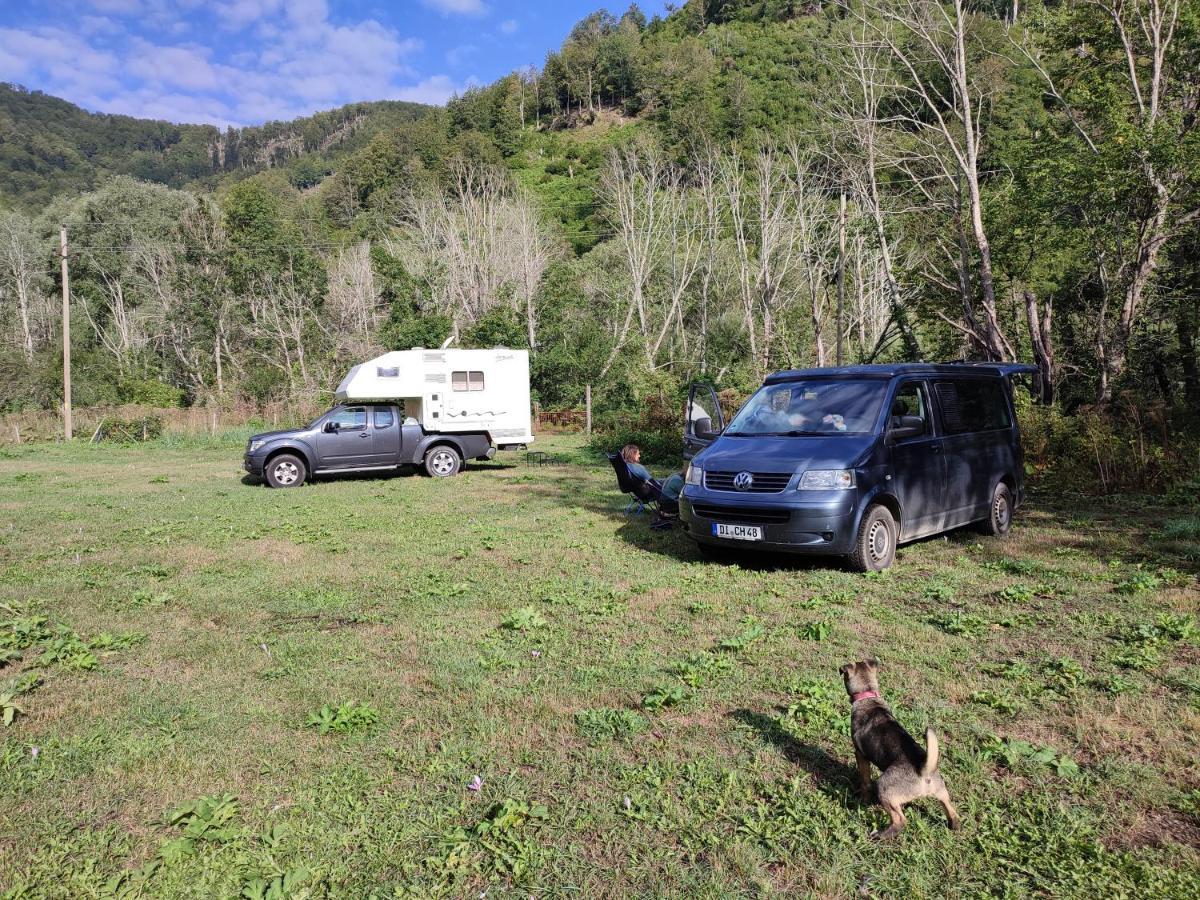 Holiday Bungalows Pajkovir Kolaşin Dış mekan fotoğraf