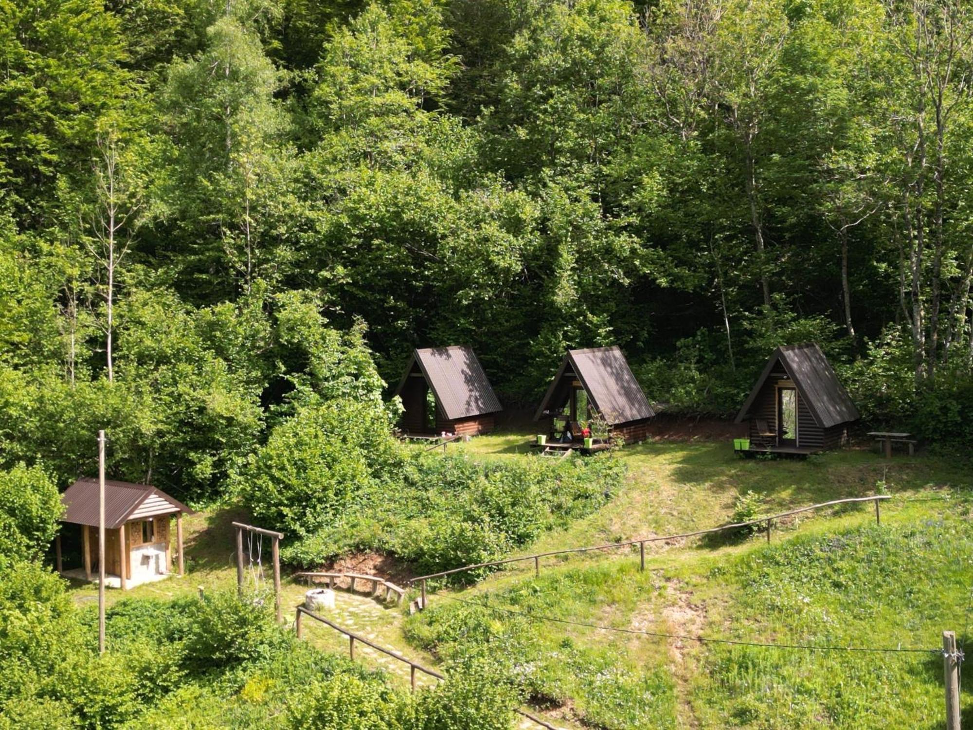 Holiday Bungalows Pajkovir Kolaşin Dış mekan fotoğraf